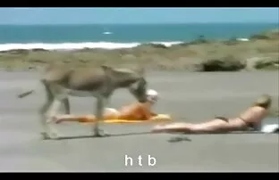 XXX Niedlich, porno reife deutsche in einem
