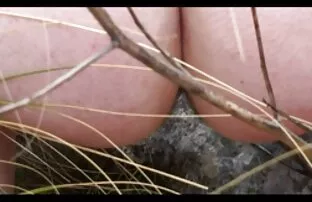 XXX Junge nackte geile reife frauen Mädchen streicheln Ihre schöne